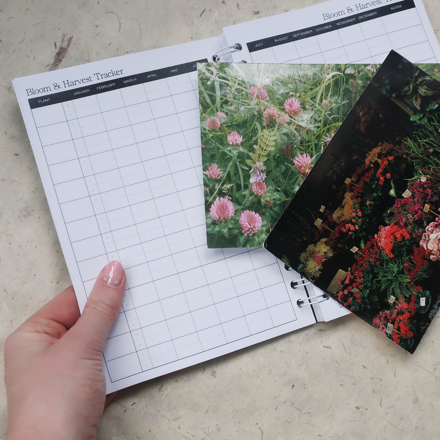 Gardening Log Book, with a hand holding it open on the Bloom & Harvest Tracker page. With vintage floral photographs laid over the grid pages.