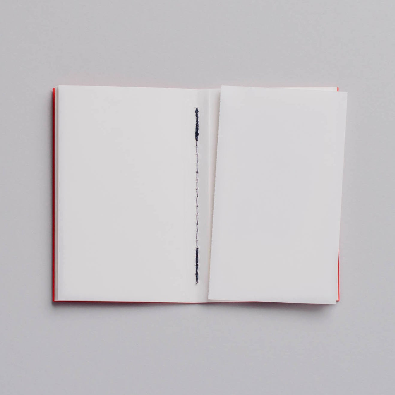 POCKET Notebook (x3)