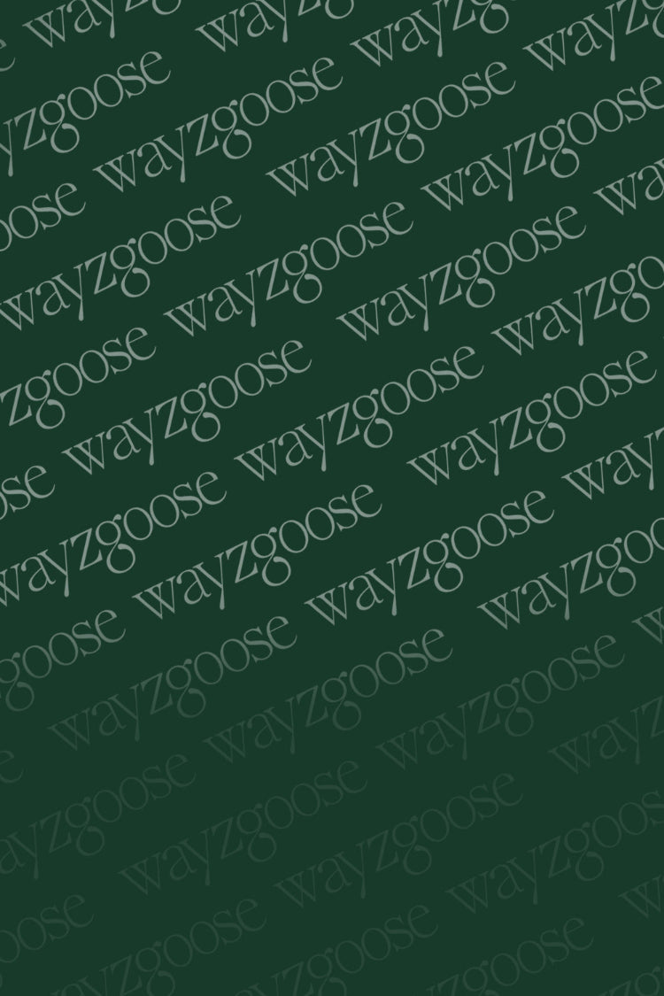 Repeating pattern of 'wayzgoose' text logo on a green background