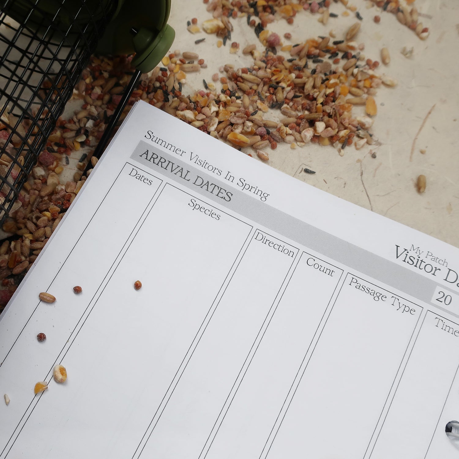 wayzgoose Bird Watching Log Book Open On The Summer Visitors In Spring Arrival Dates Page, Laid On A Textured Background With Bird Seeds & Feeder