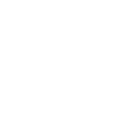 logo in white text that says "wayzgoose" with no background